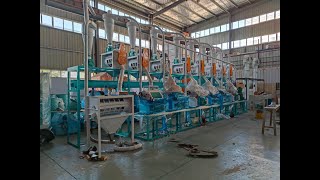 30tonday maizewheat flour mill cornmaize flour milling machine price [upl. by Amelus]