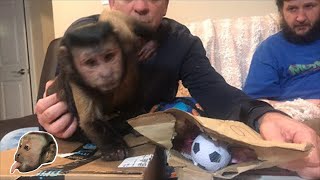 MonkeyBoo mail vlog [upl. by Adamek242]