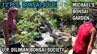 P2 12 PCS BONSAI SOLDMICHAELS BONSAI GARDENUP DILIMAN BONSAI SOCIETY [upl. by Winna]