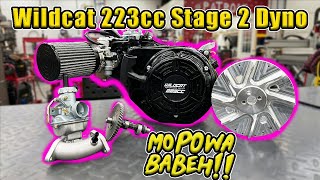 Wildcat 223cc Stage 2 Build Dyno amp Run [upl. by Biondo442]