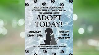 Gratiot County Animal Shelter [upl. by Aihsekal323]