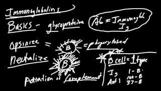 Immunoglobulins Made Simple Function Structure and Types [upl. by Etnoj367]