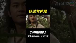 【神鵰俠侶1995】楊過救神雕，得逆天機緣！shorts神鵰俠侶古天乐李若彤杨过小龙女 [upl. by Gnouc423]