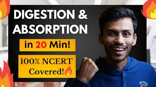 Digestion amp Absorption FAST One SHOT🔥  Full Revision in 20 Min  NCERT  Class 11  NEET [upl. by Gib]