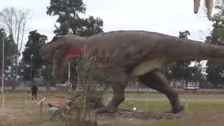 Los dinosaurios de Tecnópolis ya están en Salta [upl. by Rudwik353]