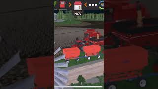 Soybean harvest in American Farming farming americanfarming [upl. by Innavoj]