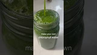 make your own chlorophyll water howto [upl. by Natalya]