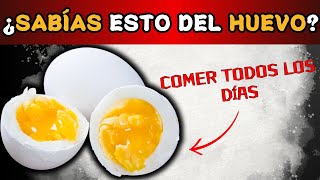 POR ESTAS RAZONES DEBES COMER HUEVOS TODOS LOS DÍAS [upl. by Ennahgiel65]