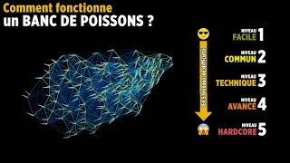 En 5 niveaux de difficulté  comment fonctionne un banc de poissons [upl. by Leiba]