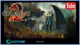 Guild Wars 2 on CachyOS Linux 3 [upl. by Ateuqal]