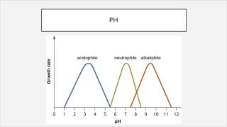 BIO 205  Chapter 9  Microbial Growth [upl. by Liatris]