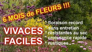 VIVACES FACILES à TRES LONGUE FLORAISON  5 super plantes [upl. by Trocki720]