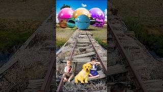 Golden Cute Dog amp baby vs All colors Pacman amp train driver tom… [upl. by Nemraciram18]