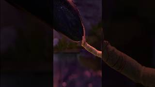 HTTYD “Off to Valhalla” dreamworks howtotrainyourdragon animation [upl. by Eilime]