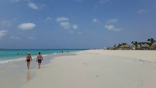 Eagle beach Aruba the most beautifull beach of Aruba in 4K resolution with blue sky [upl. by Leith]