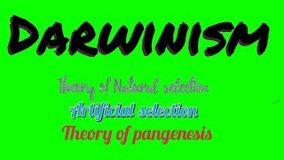 Darwinism  Theories of evolution Theory of pangenesis Artificial selection Natural selection [upl. by Dellora]