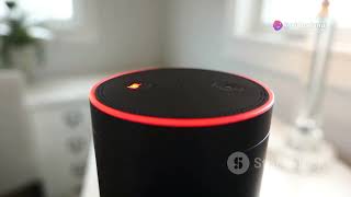 Amazons Major Alexa Update Replacing Its AI with Anthropics Claude [upl. by Crystal]