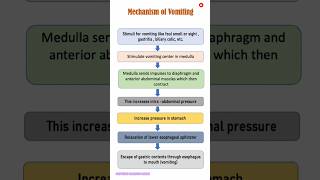 Mechanism of vomiting  Adult Health Nursing  Anatomy amp Physiology  Ritu Maam youtubeshorts yt [upl. by Hutt]