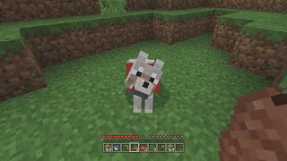 Minecraft Xbox Nostalgia [upl. by Naamann648]