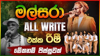 මල්සරා BACKING ඕල් රයිට් with Rishi Madu 2024 [upl. by Loveridge]