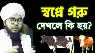 স্বপ্নে গরু দেখলে কি হয়  স্বপ্নে গরু দেখার ব্যাখ্যা  sopne goru dekhle ki hoy  Shopner bakkha [upl. by Ewens]