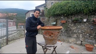 41 Timelapse Week Repairing Terracotta Pot Weeding amp Bonsai [upl. by Wooster]