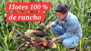 Asi prepare unos deliciosos elotes asados a la brasa en medio del campo 🌽100 de rancho [upl. by Sabir]