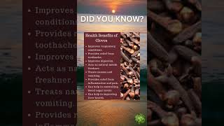 Health Benefits of Cloves [upl. by Nosloc]