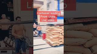 container loadingshipment loadingimportexp ortchina chinagoodschinagopi [upl. by Hailed965]