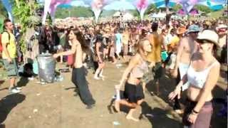 Ozora festival 2011 EDIT Part 2 The Energy [upl. by Mcnelly]