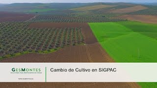 Cambio de cultivo en SIGPAC [upl. by Faden14]