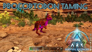 Taming a Procoptodon on scorched earth in ark survival ascended ark dinosaurs survival [upl. by Aicelav454]