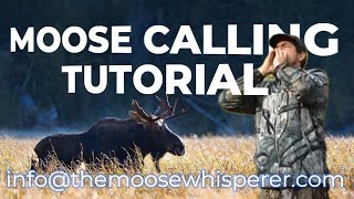 HOW TO CALL A MOOSE  Mastering Moose Calls A Comprehensive Tutorial moosehunting moosecraft [upl. by Skyler455]