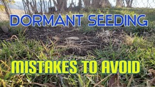 How amp When To Dormant Seed A Lawn Or Patch Of Bare Soil [upl. by Nalyorf]