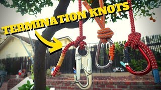 HOW TO TIE TERMINATION KNOTS Intro to Tree Climbing W Bino H amp Noah Pt8 [upl. by Weasner]