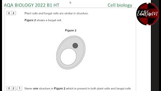 AQA GCSE Biology 2022  Paper 1 Q2 Higher Tier Past paper Questions walk through on Cell Biology [upl. by Wendolyn239]