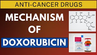 Mechanism of Doxorubicin amp Daunorubicin [upl. by Latsyrc179]