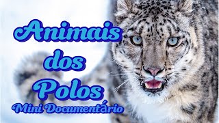 10 Animais Incríveis que Sobrevivem nas Terras Congeladas dos Polosmini documentário [upl. by Adna]