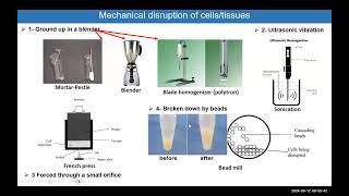 Module 3 Cellular Fractionation HSS3109 [upl. by Orwin]