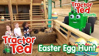 Tractor Ted Easter Egg Hunt Special 🐣  Tractor Ted Shorts  Tractor Ted Official Channel [upl. by Hanfurd]