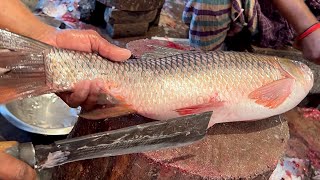 Excellent Cutting Skills  Big Rohu Fish Cutting By Expert Fish Cutter [upl. by Sagerman934]