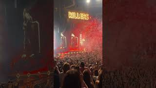 Epic moment when The Killers paused their gig and show England win and go to the Euro 2024 finals [upl. by Sampson]