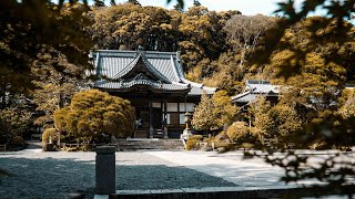 Quick Trip to a remote Onsen Town Temple [upl. by Aleiram]