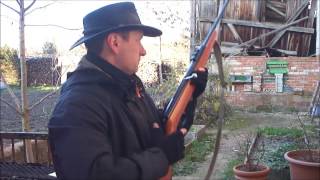 Luftgewehr Haenel 310 Plinking [upl. by Branden]