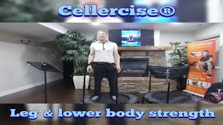 Leg amp Lower Body Strength Routine  Cellercise® [upl. by Liakim]