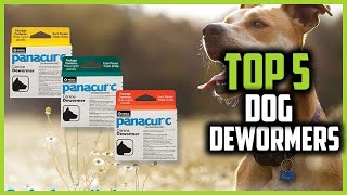 ✅Top 5 Best Dog Dewormers Reviews of 2024 [upl. by Gniw]