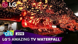 CES 2019 Experience LGs breathtaking OLED TV display [upl. by Yrruc]