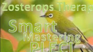 ZOSTEROPS THERAPY amp SMART MASTERING [upl. by Mulry]