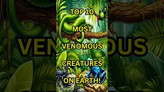 Top 10 Most Venomous Creatures on Earth [upl. by Enattirb]