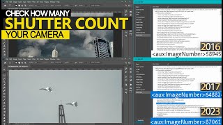 How to check shutter count camera [upl. by Emmalynne602]